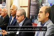 ایران و دانشکده بهداشت؛ پیشرو و هدایتگر منطقه مدیترانه شرقی در مدیریت تب دنگی